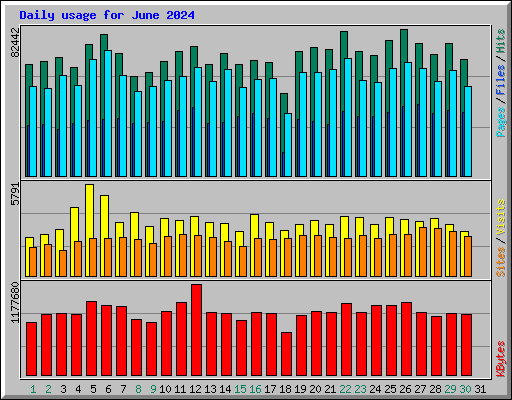 Daily usage for June 2024