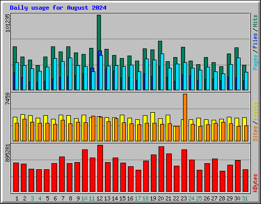 Daily usage for August 2024