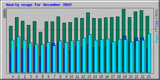 Hourly usage for December 2022