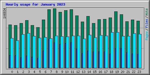 Hourly usage for January 2023