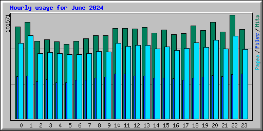 Hourly usage for June 2024