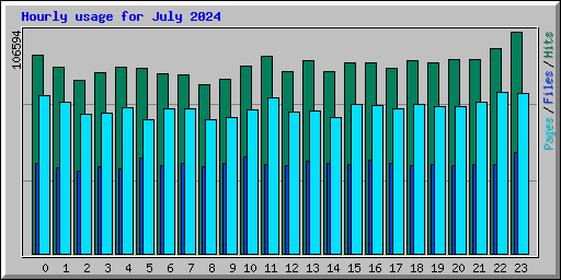 Hourly usage for July 2024