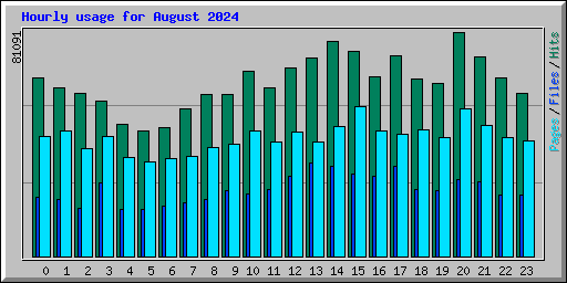 Hourly usage for August 2024