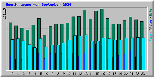 Hourly usage for September 2024