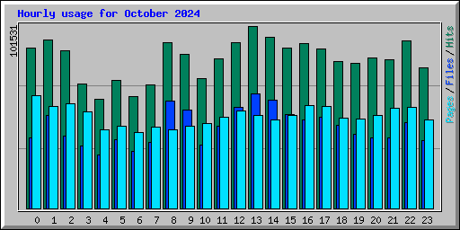 Hourly usage for October 2024