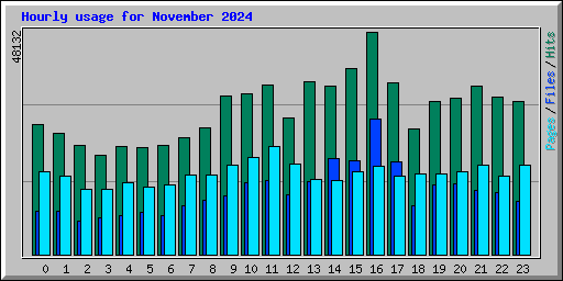 Hourly usage for November 2024