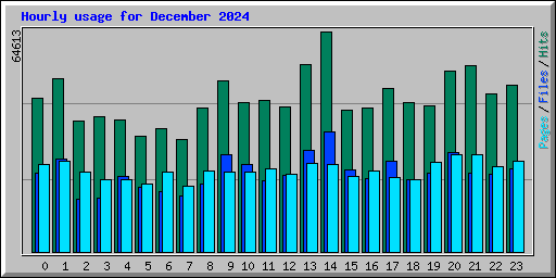 Hourly usage for December 2024