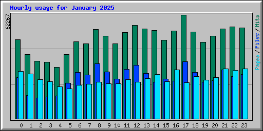 Hourly usage for January 2025