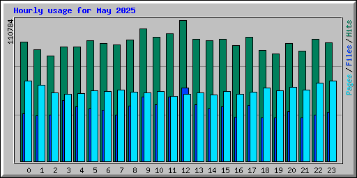 Hourly usage for May 2025