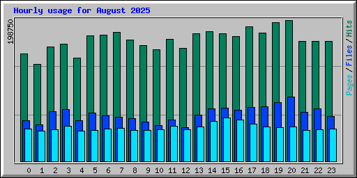 Hourly usage for August 2025