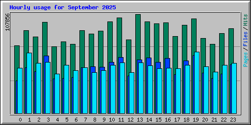 Hourly usage for September 2025
