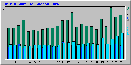 Hourly usage for December 2025