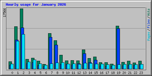 Hourly usage for January 2026