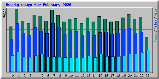 Hourly usage for February 2026