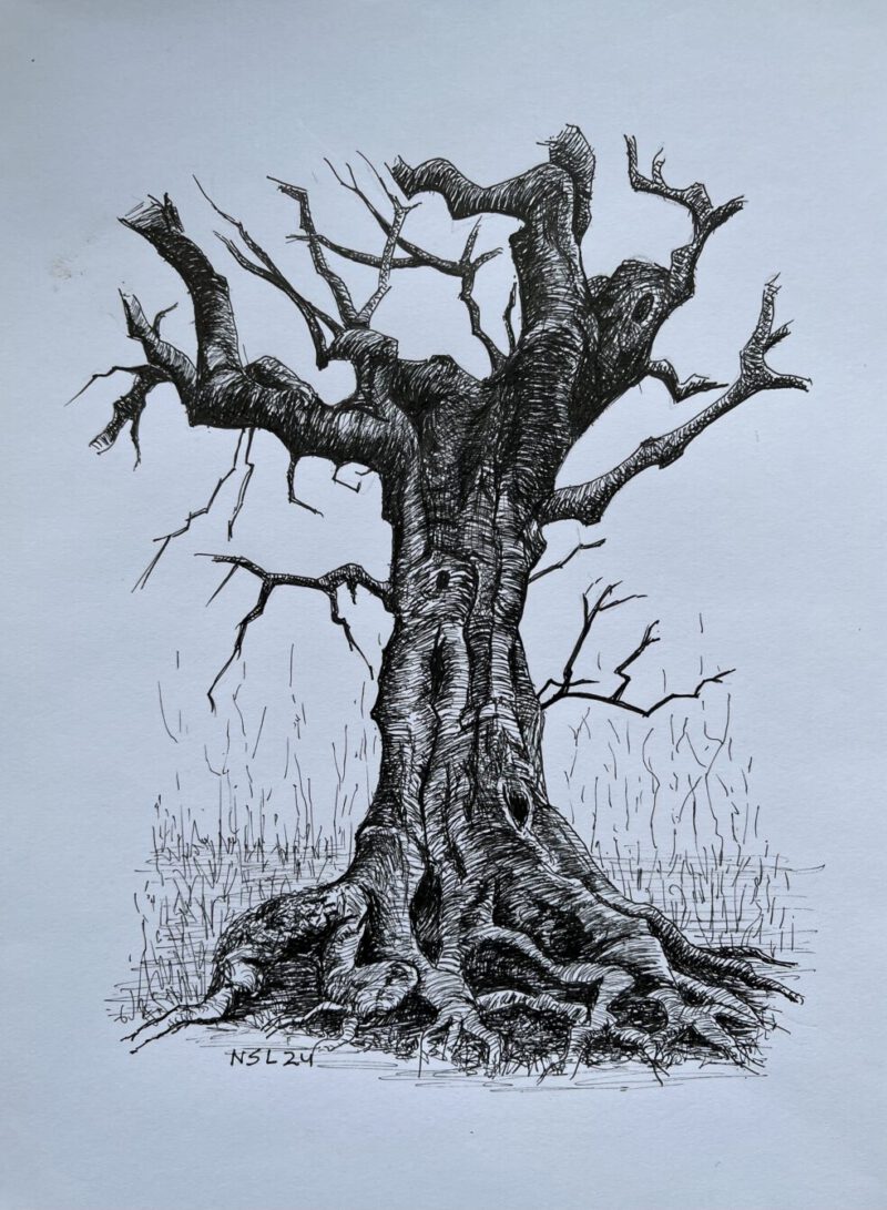 Heksenboom. Fineliner