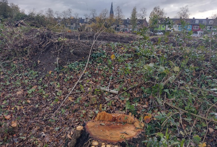 Inck for the internationals