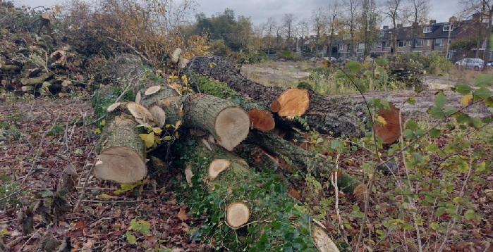 Inck Eindhoven natuurvernietiging