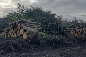 Inck heel groen ahum