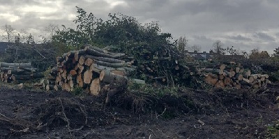 Inck heel groen ahum